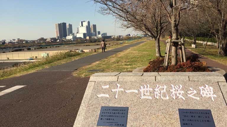 多摩川