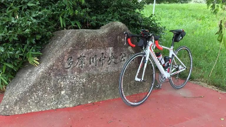 多摩川 多摩川中央公園
