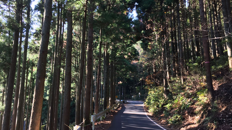 ヤビツ峠ののぼり