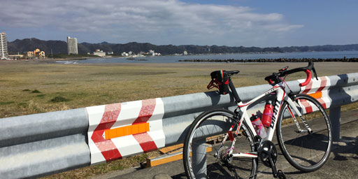 東京湾フェリーで行く鴨川グルメ 千葉県サイクリング 自転車と模型とウェブ開発 東京湾フェリーで行く鴨川グルメ 千葉県サイクリング 自転車と模型とウェブ開発