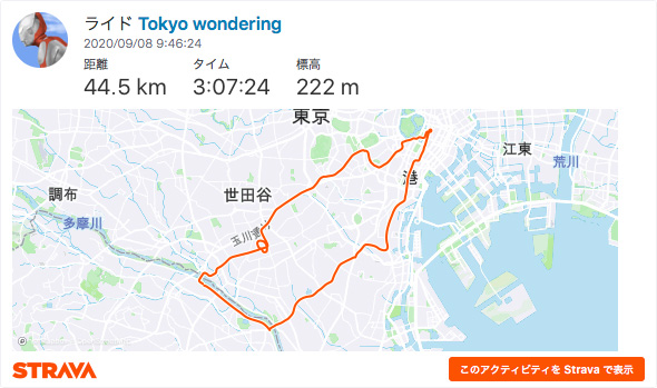 Tokyo wondering