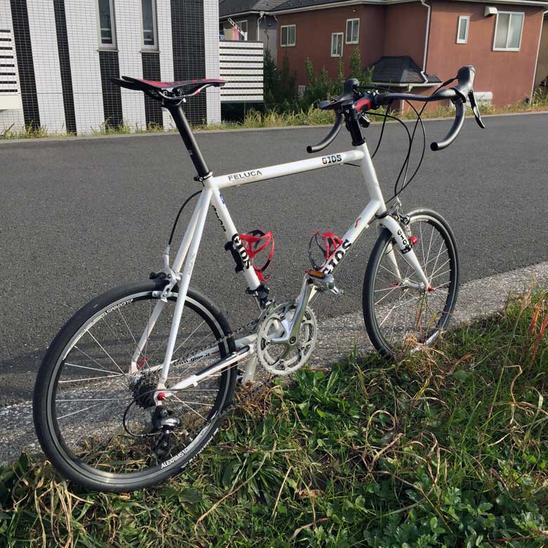 feluca custom 2018
