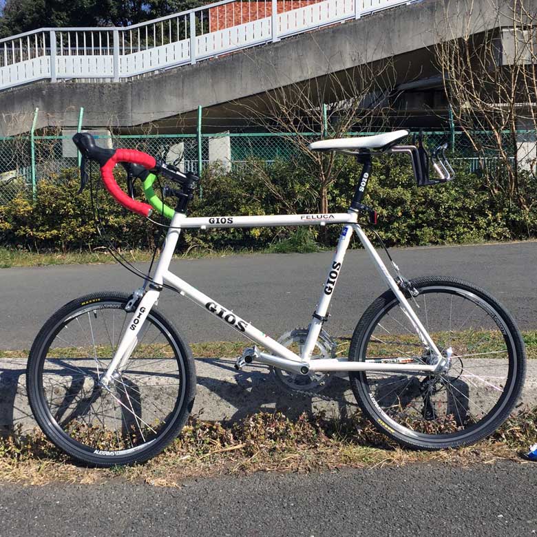 GIOS FELUCA