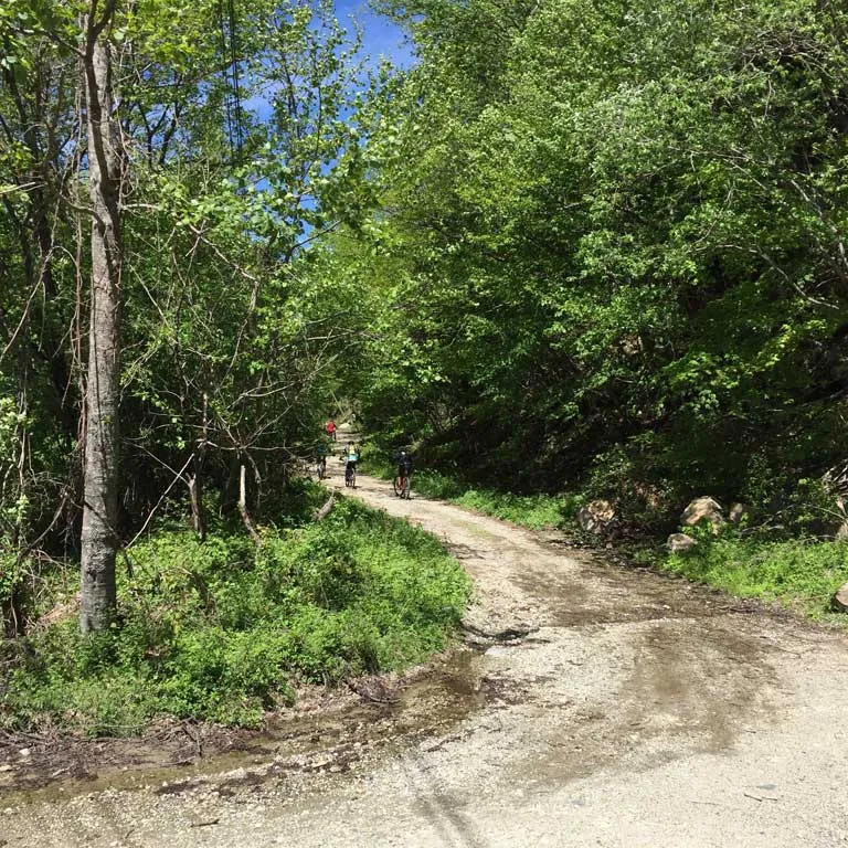 SDA王滝20km コース