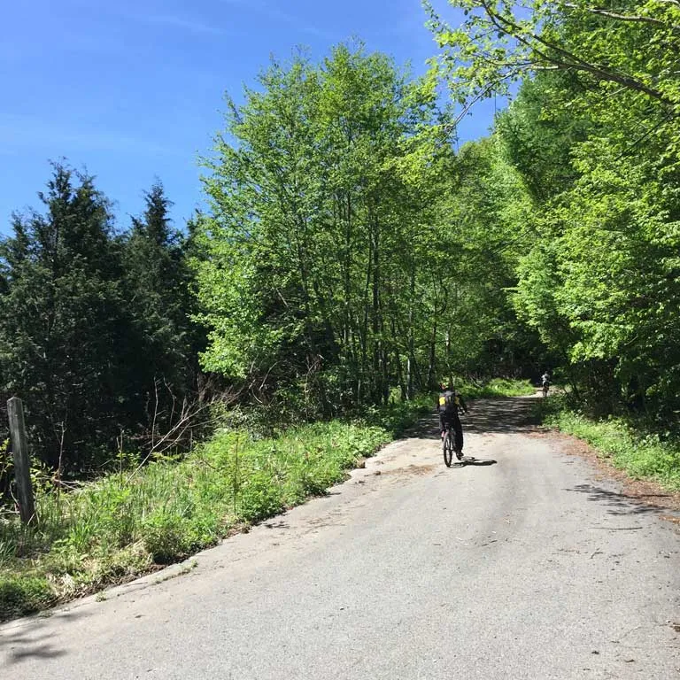 SDA王滝20km コース