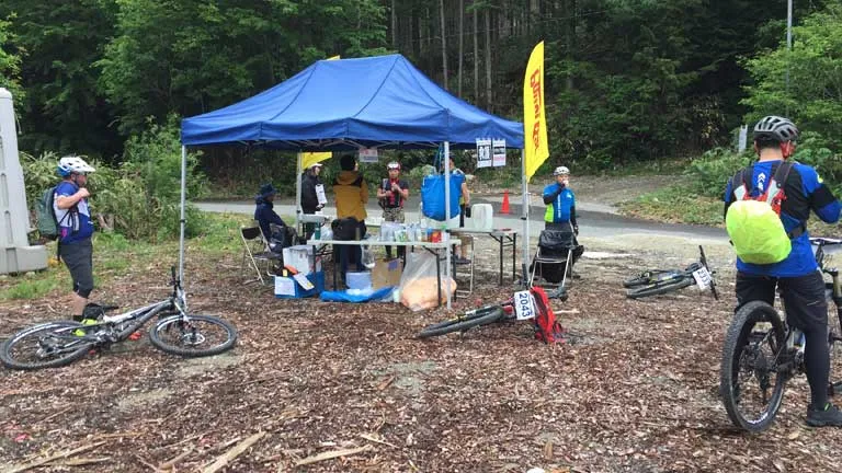 チェックポイント